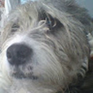 Meet your Posher, Lana